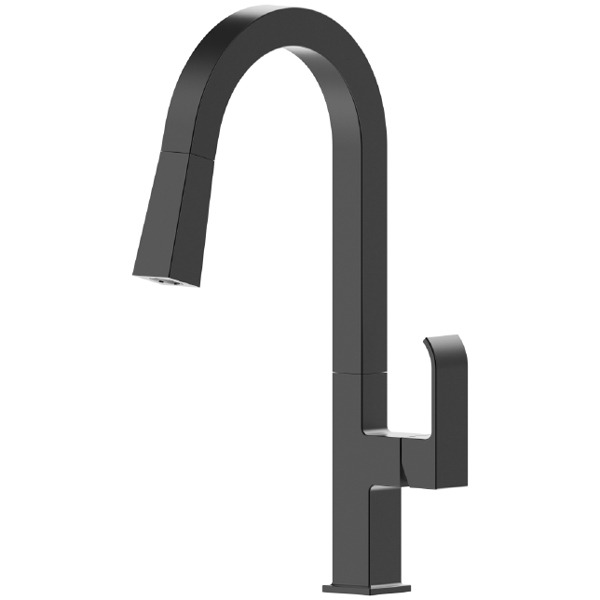 Robinet de cuisine extractible D3561