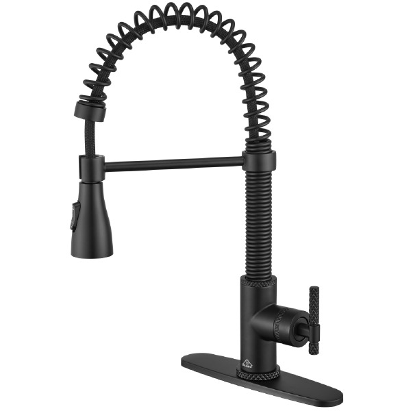 Robinet de cuisine à ressort D5041