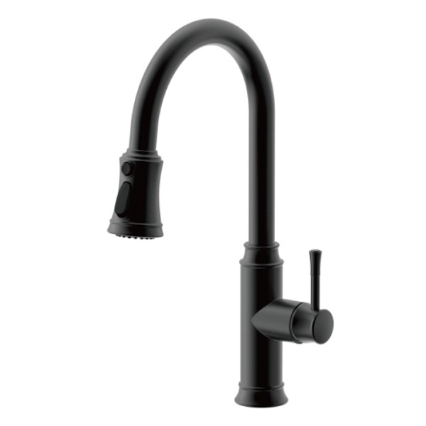 Robinet de cuisine extractible D5111