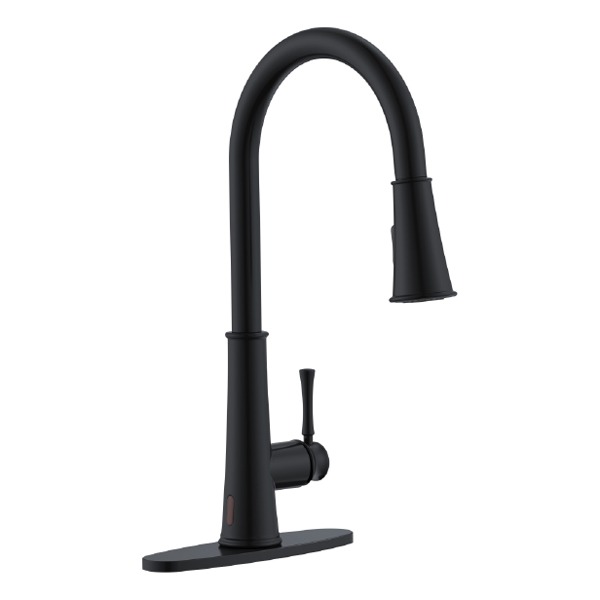 W3085 Infrared Kitchen Faucet