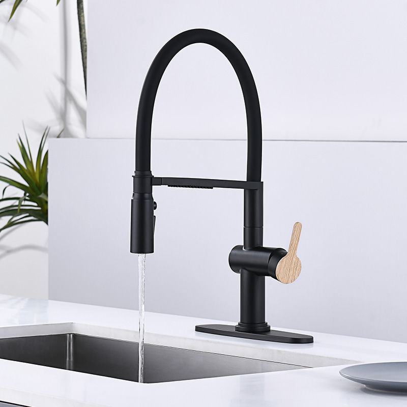 Kitchen Faucet
