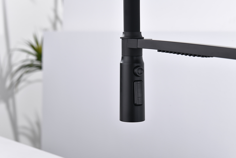 Black Pull Down Kitchen Faucet with Sprayer