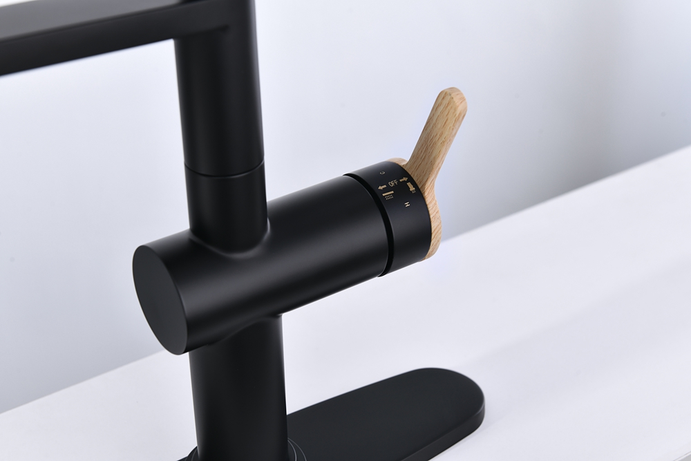 Black Pull Down Kitchen Faucet with Sprayer