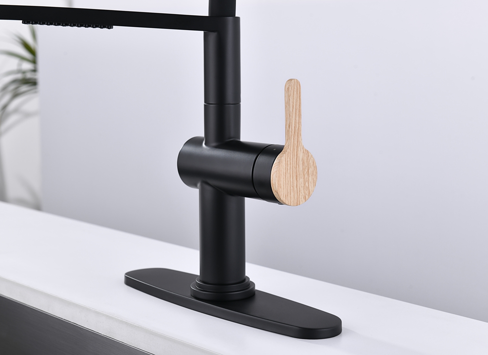 Black Pull Down Kitchen Faucet with Sprayer