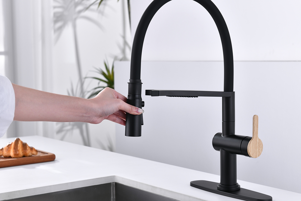 Black Pull Down Kitchen Faucet with Sprayer