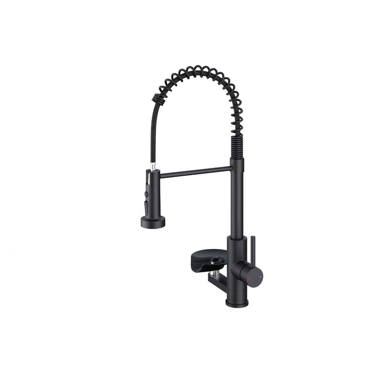 D9303 Pull-Down Kitchen Faucet