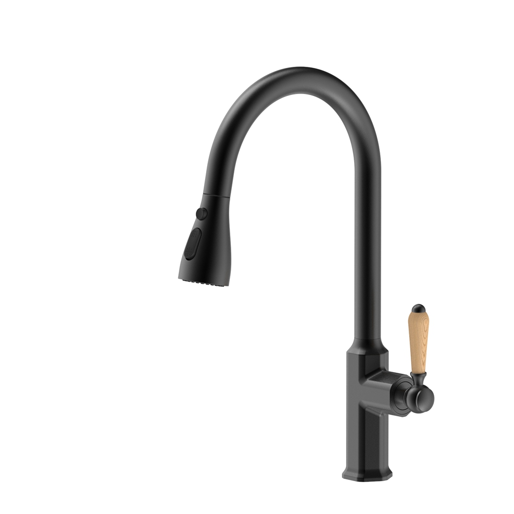 D9101 Pull-Down Kitchen Faucet
