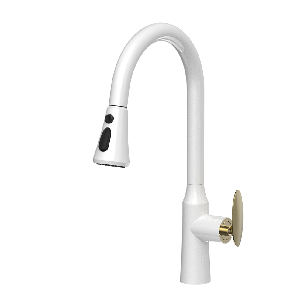 D9011 Pull-Down Kitchen Faucet