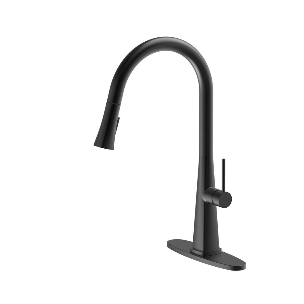 D4174 Matte Black Gooseneck Faucet