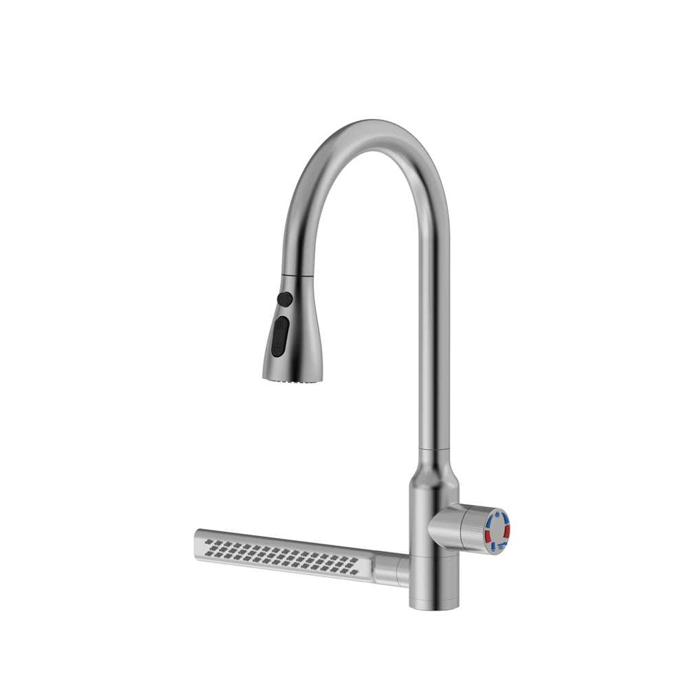 D2561 Stainless Steel Dual-Function Faucet