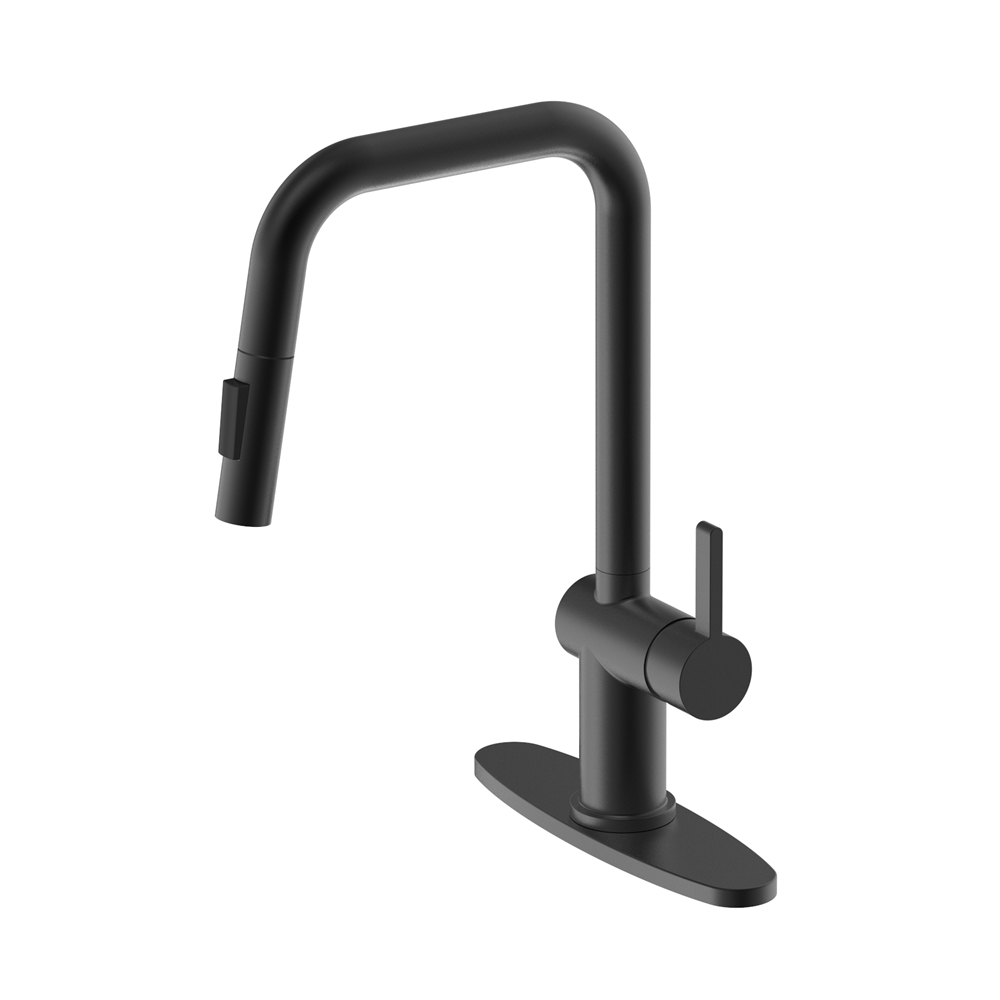 D0717 Matte Black Pull-Down Faucet