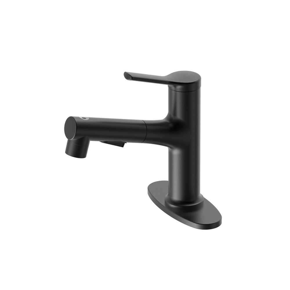 B3318-1 Matte Black Pull-Out Faucet