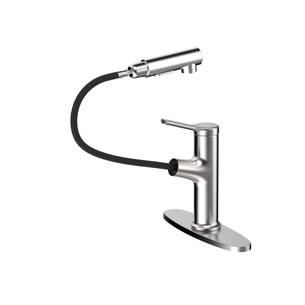 B3318 Pull-Out Kitchen Faucet
