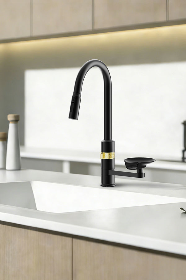 Kitchen Faucet