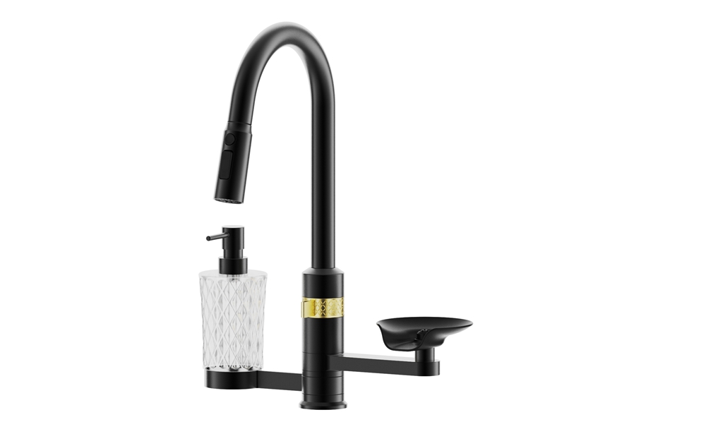 D9304 Black Kitchen Spray Tap with Soap Dispenser